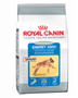    Royal Canin